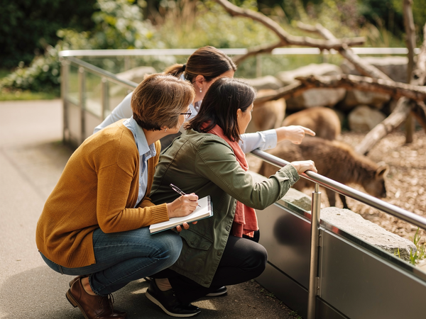 Bild zu Außerschulisches Lernen - Lehren und Lernen am außerschulischen Lernort … am Beispiel Zoo, KI-generiertes Bild